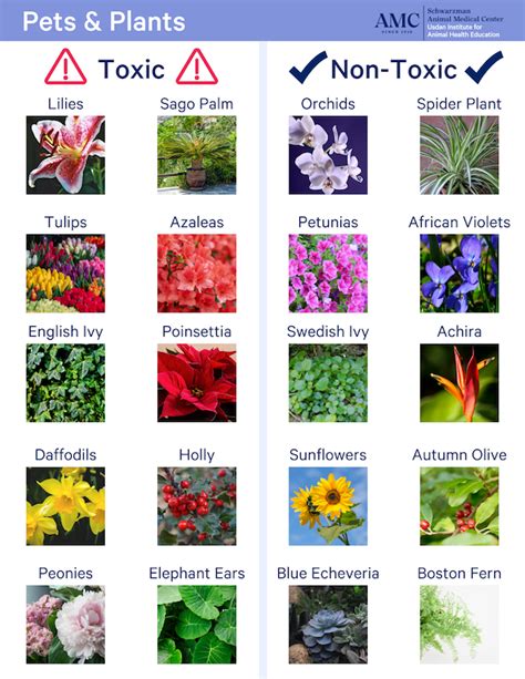 aspca list of toxic plants for dogs.